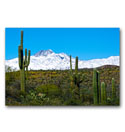 Photo of saguaro cacti and rare snow on the Four Peaks mountain range just to the northeast of the Phoenix Arizona metropolitan area