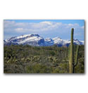 Photo of some rare snow in the desert in the Superstition Wilderness just to the east of the Phoenix Arizona metropolitan area